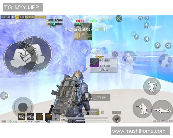 杨丽独家分享和平精英游戏技巧与心得体会助你快速提升战斗力