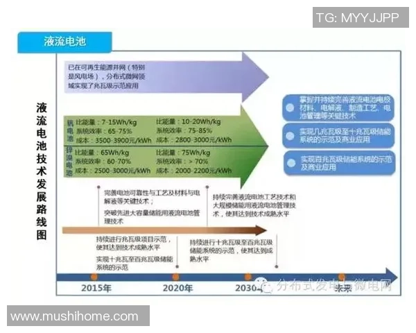 成都篮球队运营模式分析与发展前景探讨