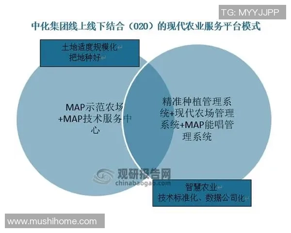 广州篮球队的节奏革新探索与未来发展之路分析