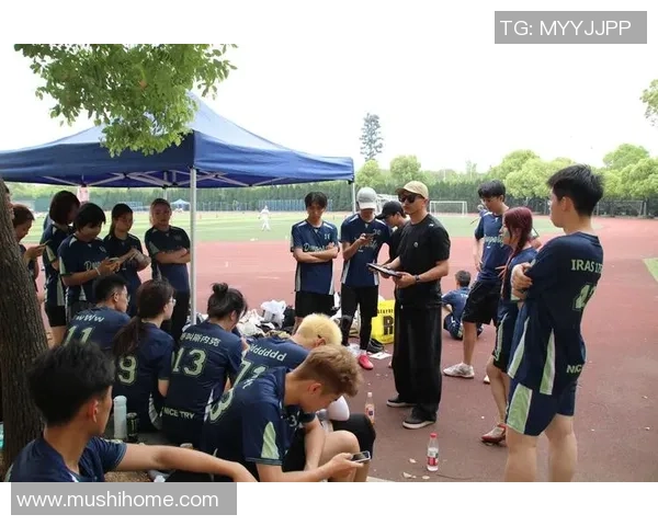 重庆飞盘队的战术变革与团队协作深度解析 重庆飞盘队的战术变革与团队协作深度解析