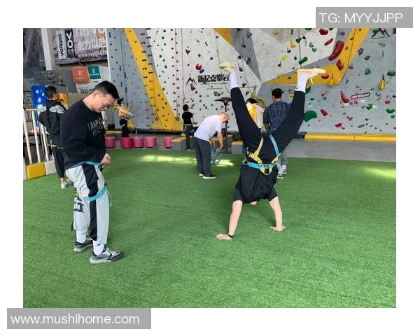 攀岩盛事揭秘：深入了解上海攀岩队的训练与竞技状态