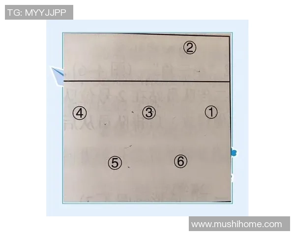 杭州排球队挑战赛战术分析与表现评析全面解读